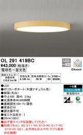 OL291419BC