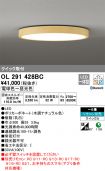 OL291428BC