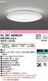 OL291485BCR