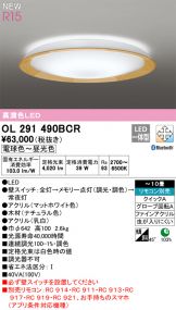 OL291490BCR