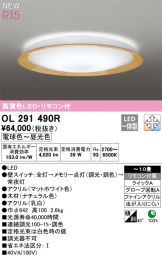 OL291490R