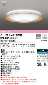 OL291491BCR