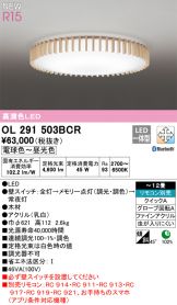 OL291503BCR
