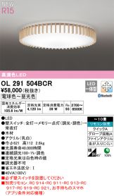 OL291504BCR