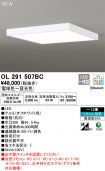 OL291507BC