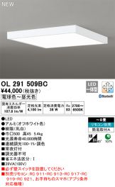 OL291509BC