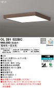 OL291522BC