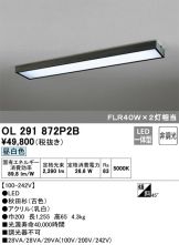 OL291872P2B