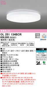 OL251134BCR