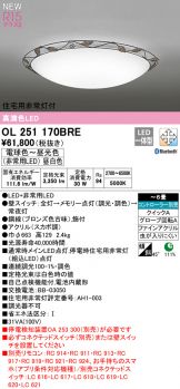 OL251170BRE