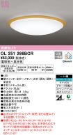 OL251266BCR