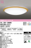 OL251266R