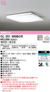 OL251390BCR