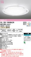 OL251502BCR