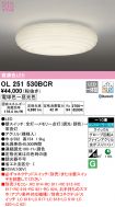 OL251530BCR