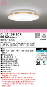 OL251541BCR