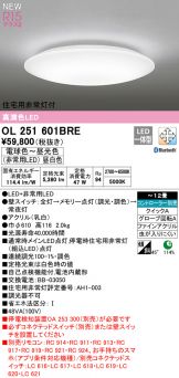 OL251601BRE