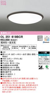 OL251619BCR