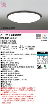 OL251619BRE