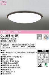 OL251619R