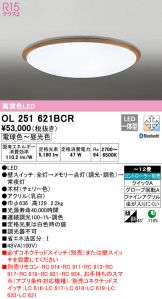 OL251621BCR