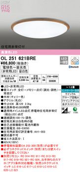 OL251621BRE