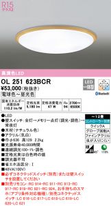 OL251623BCR