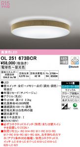 OL251673BCR