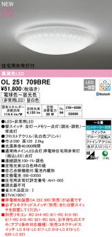 OL251709BRE