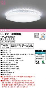 OL291001BCR