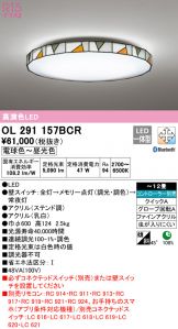 OL291157BCR