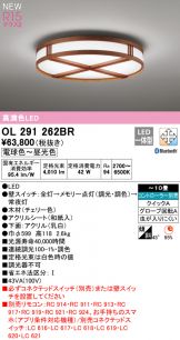 OL291262BR