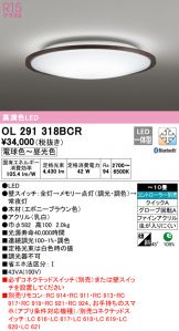 OL291318BCR