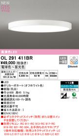 OL291411BR