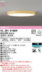 OL291419BR