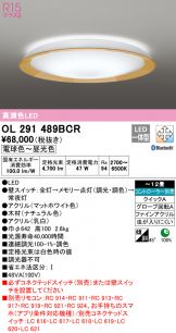 OL291489BCR