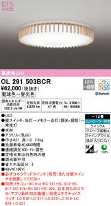 OL291503BCR