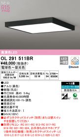 OL291511BR