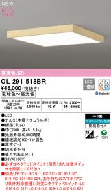 OL291518BR