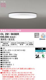 OL291563BR