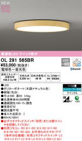 OL291565BR