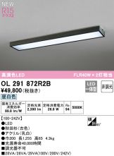 OL291872R2B