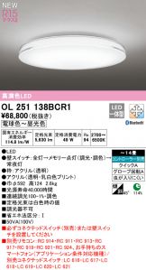OL251138BCR1