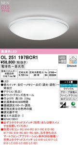 OL251197BCR1