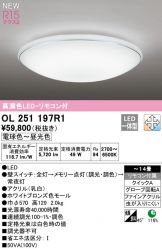 OL251197R1