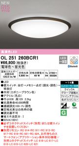 OL251260BCR1