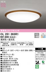OL251263R1