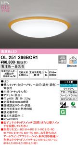 OL251266BCR1