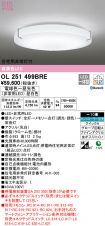 OL251499BRE