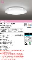 OL251511BCR